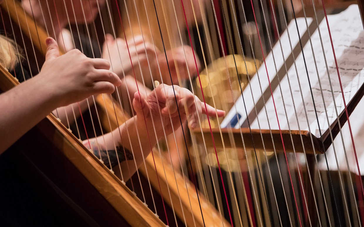 楽器　ハープ　演奏